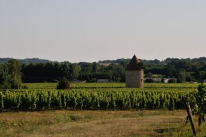 Vigne JT3 3903 Comp 300x199 1